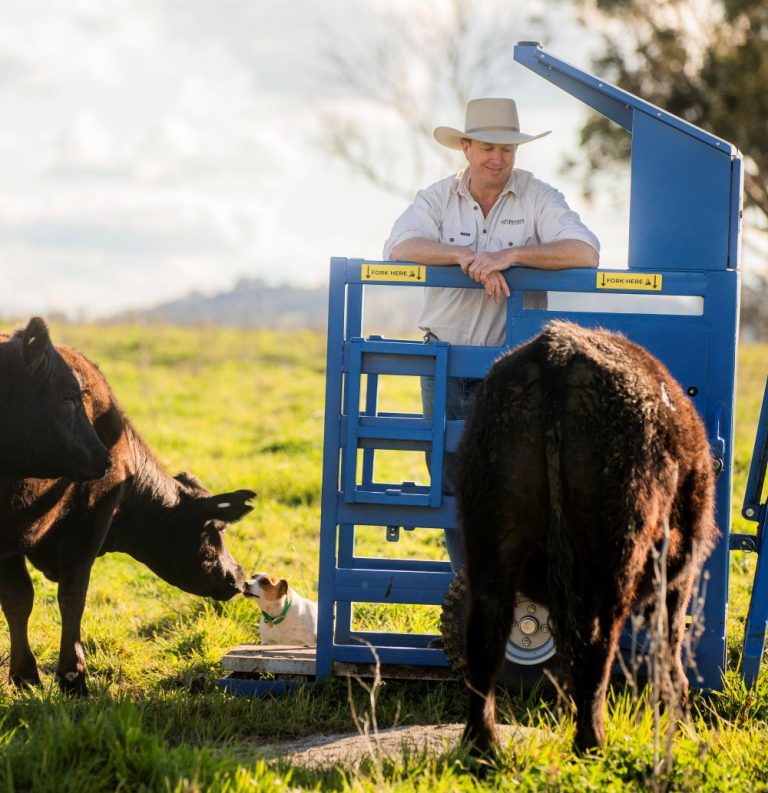 Hamish Webb, CEO on his beef property