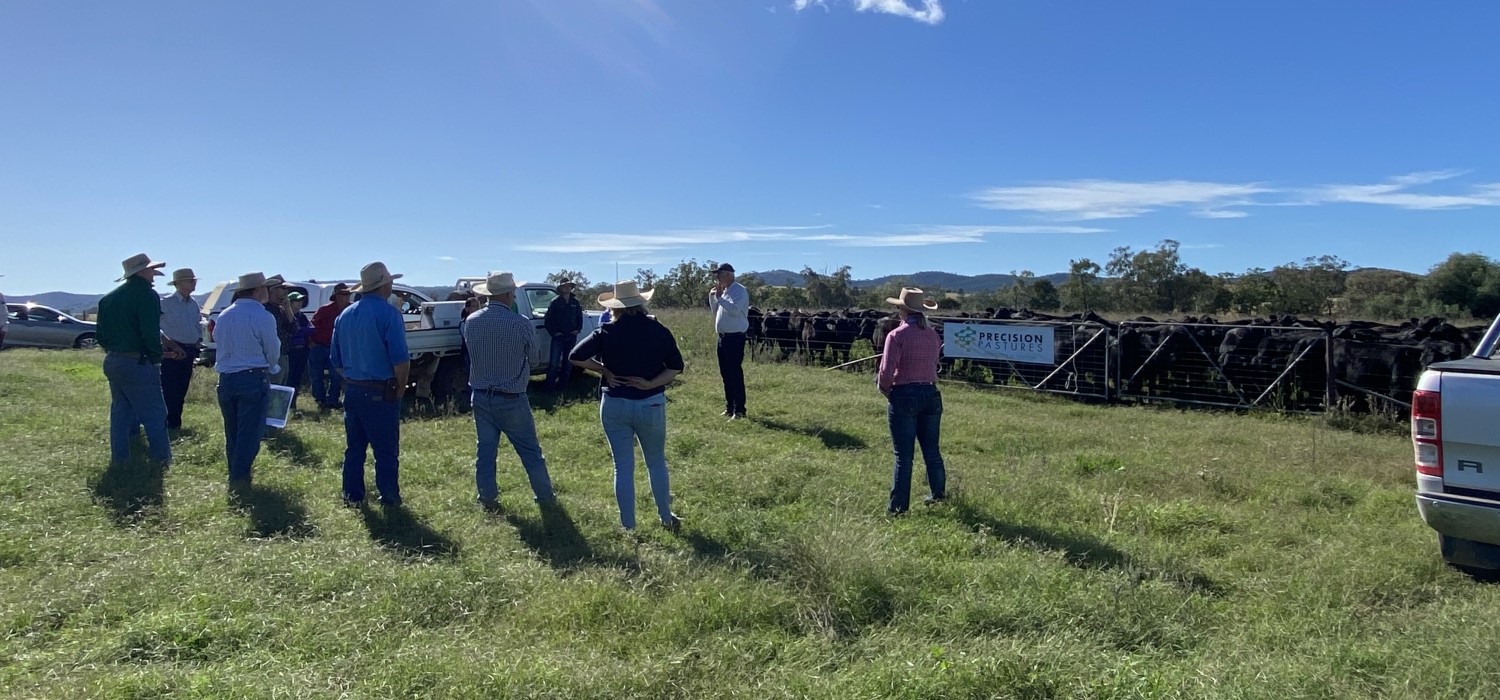 Precision Pasture Soil Carbon Research and Development Field Day